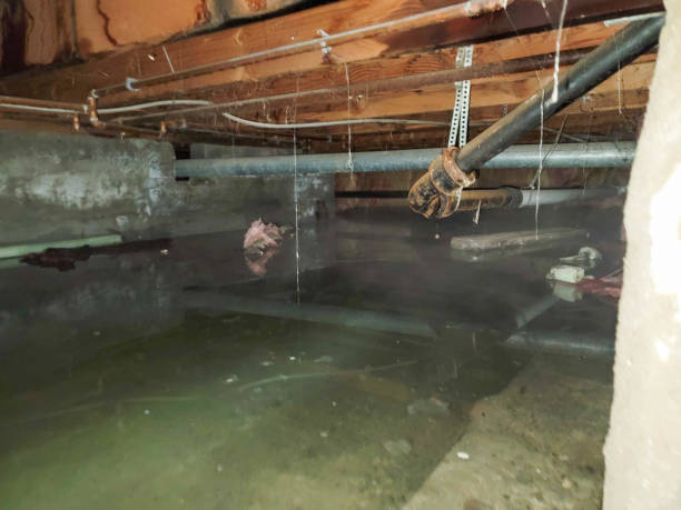 Water damage restoration process in Midway North, TX