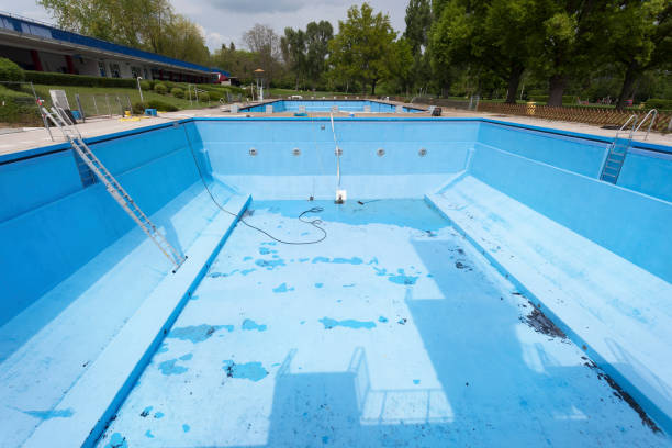 Best Basement water damage restoration  in Midway North, TX