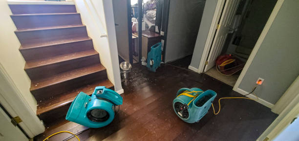Best Flood restoration services  in Midway North, TX
