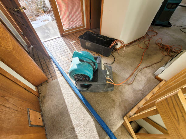 Best Sewage cleanup and water damage restoration  in Midway North, TX