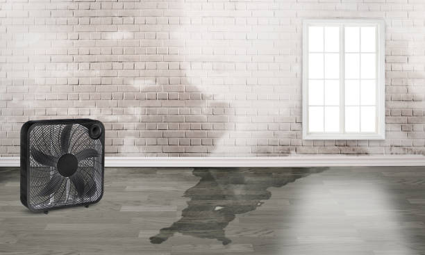 Best Water damage restoration process  in Midway North, TX