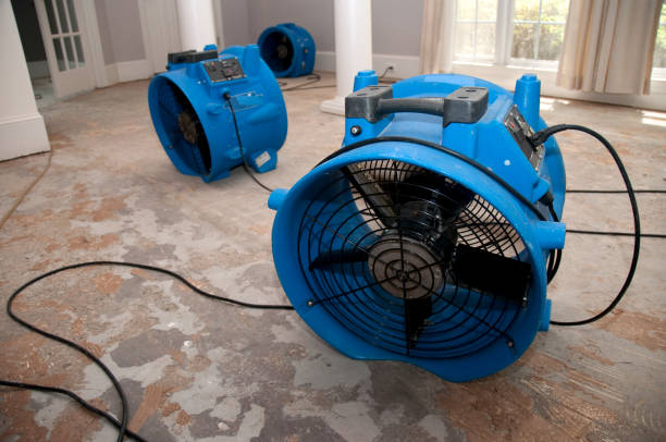 Best Water damage restoration near me  in Midway North, TX