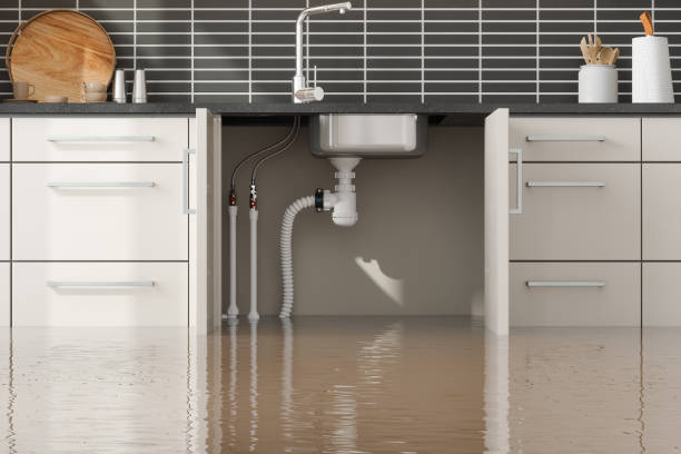 Best Local water damage restoration  in Midway North, TX