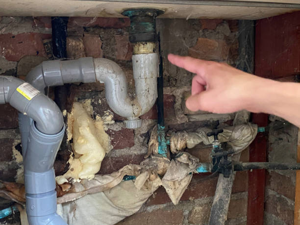 Best Ceiling water damage repair  in Midway North, TX