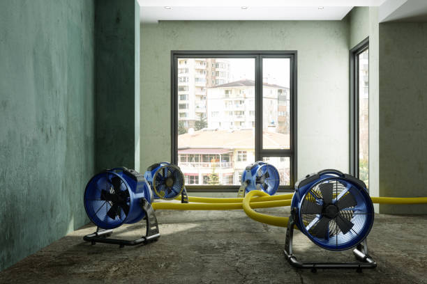 24/7 water damage repair in Midway North, TX